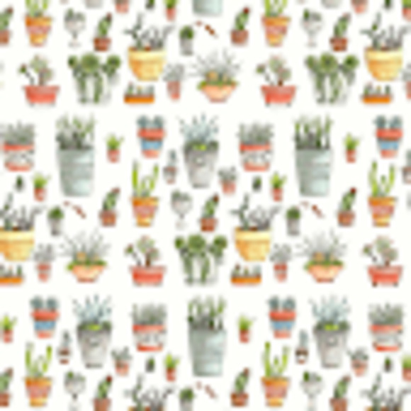 Meet your Posher, Fern - Picture 1 of 1